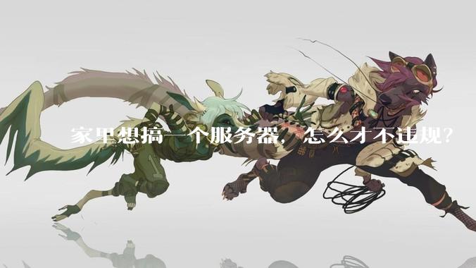 家里想搞一个服务器，怎么才不违规？