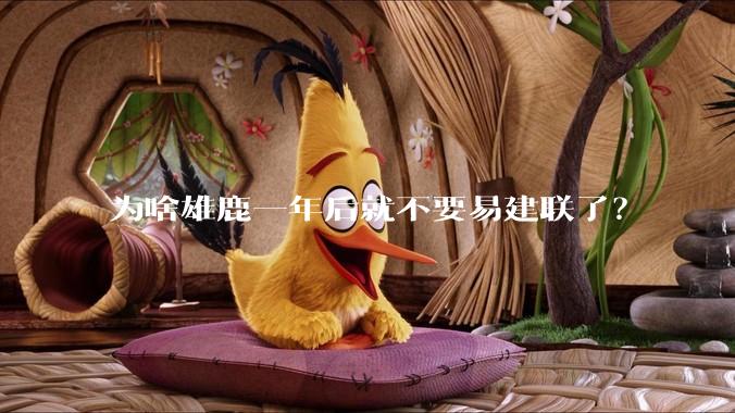 为啥雄鹿一年后就不要易建联了？
