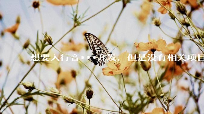 想要入行音***开发，但是没有相关项目经验怎么办？